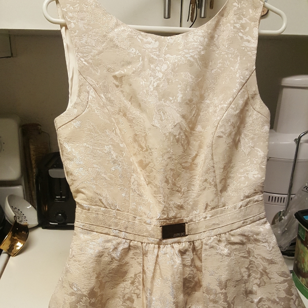 Jenifer Lopez dress brought at Macys